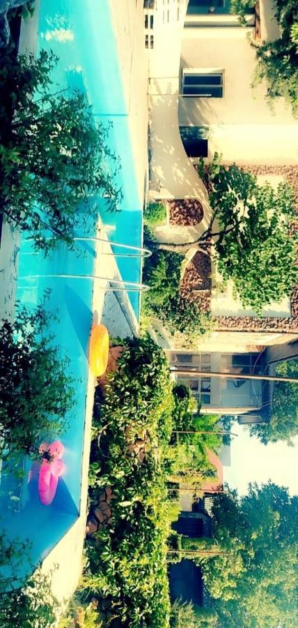 فندق Strelets بيشكيك المظهر الخارجي الصورة